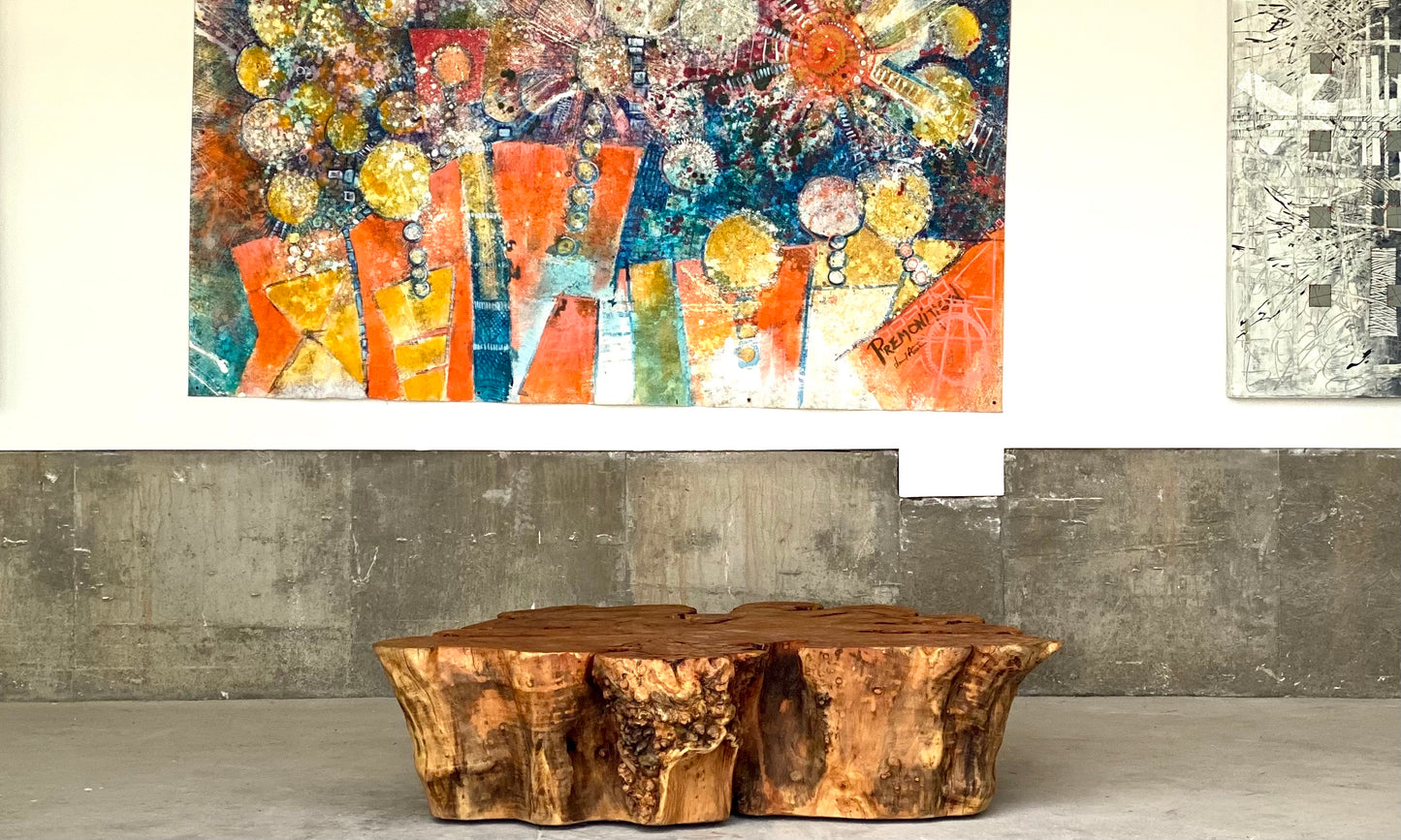 CAN DANCE sculptural lounge coffee table