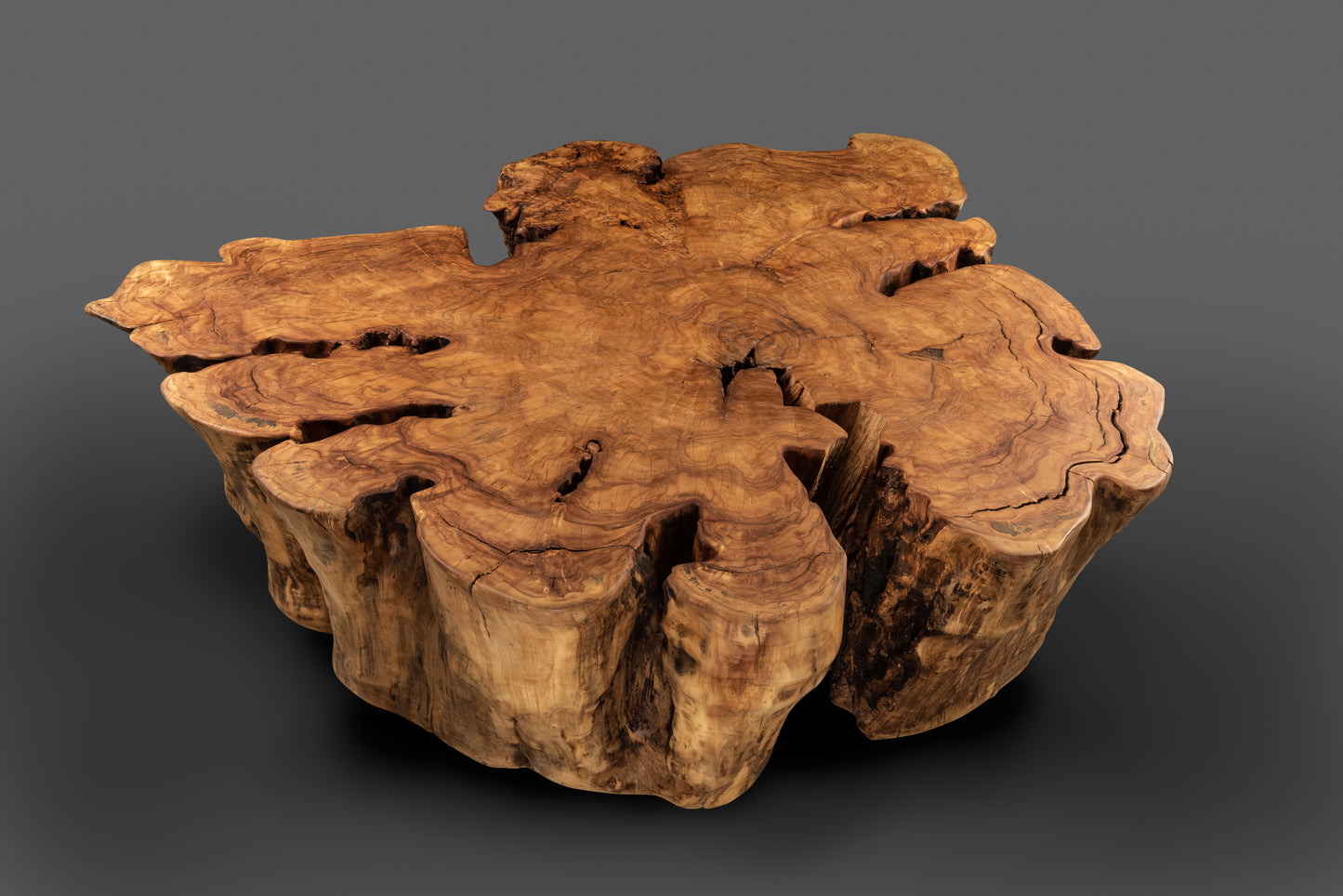 CAN DANCE sculptural lounge coffee table